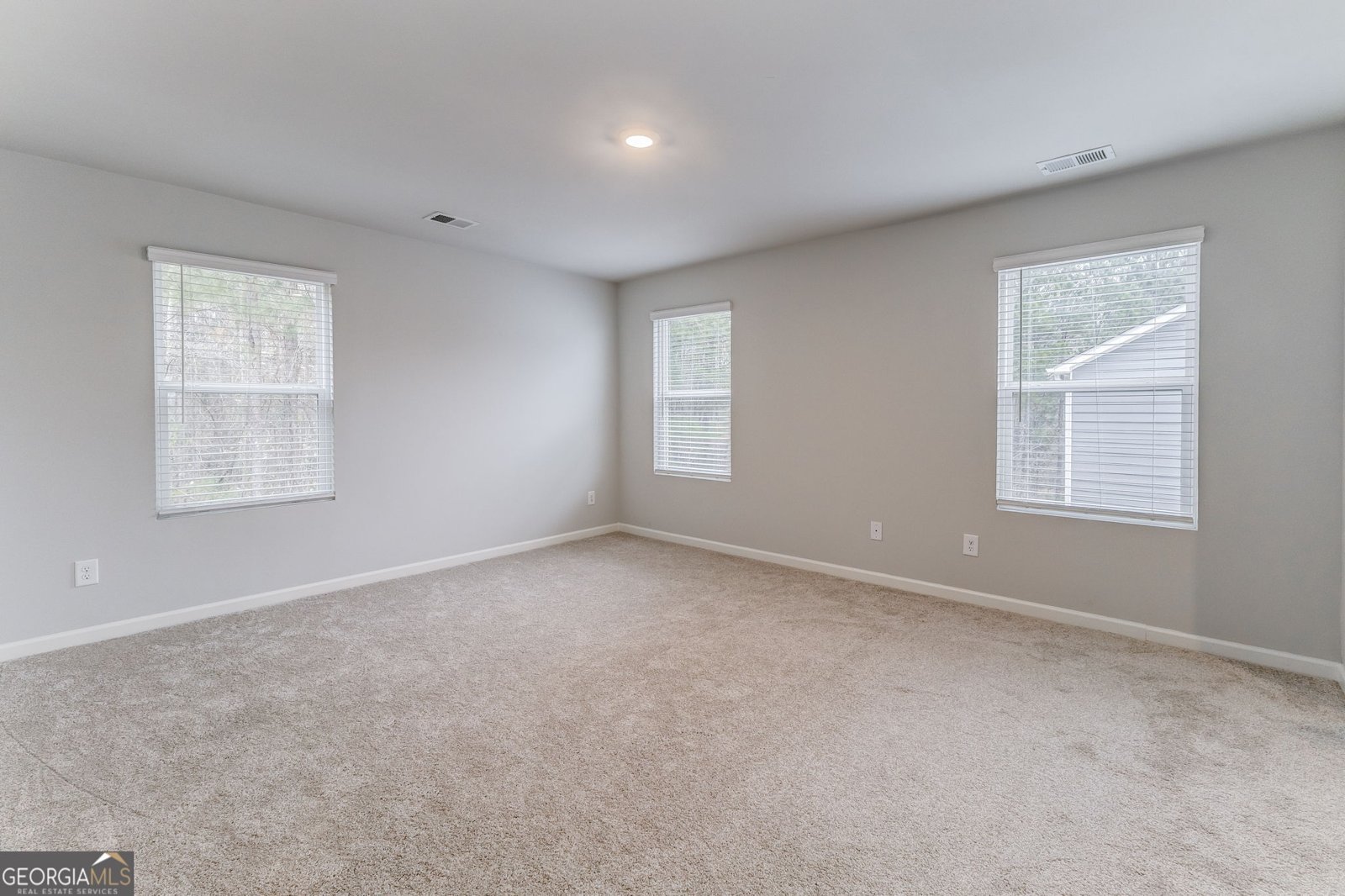 6597 Bluffview Drive Douglasville - 9