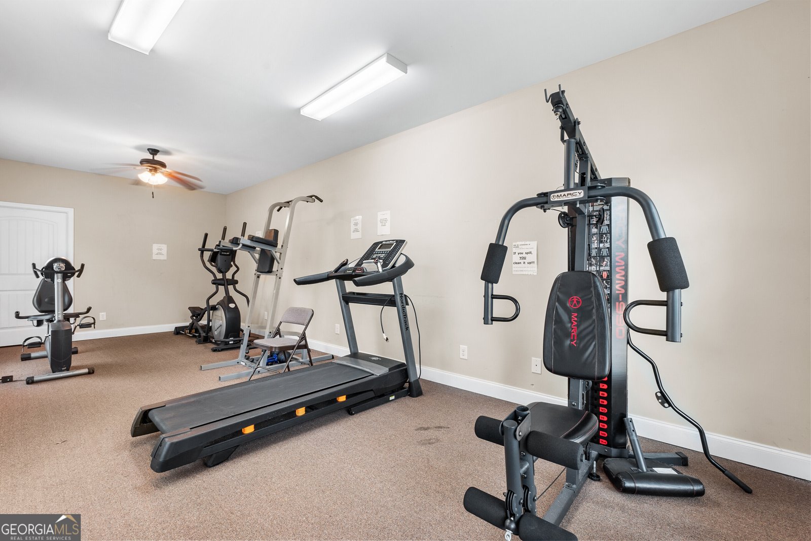 234 Cottage Circle Byron - 42