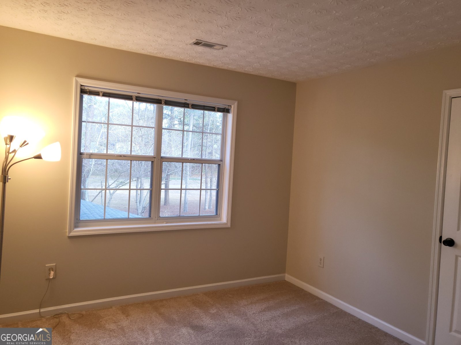 125 Chadwick Drive Peachtree City - 29