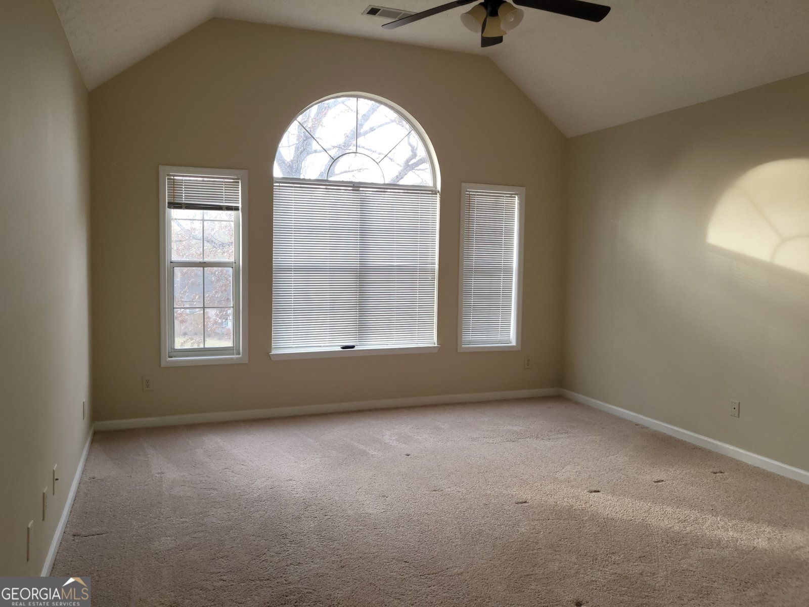 125 Chadwick Drive Peachtree City - 31