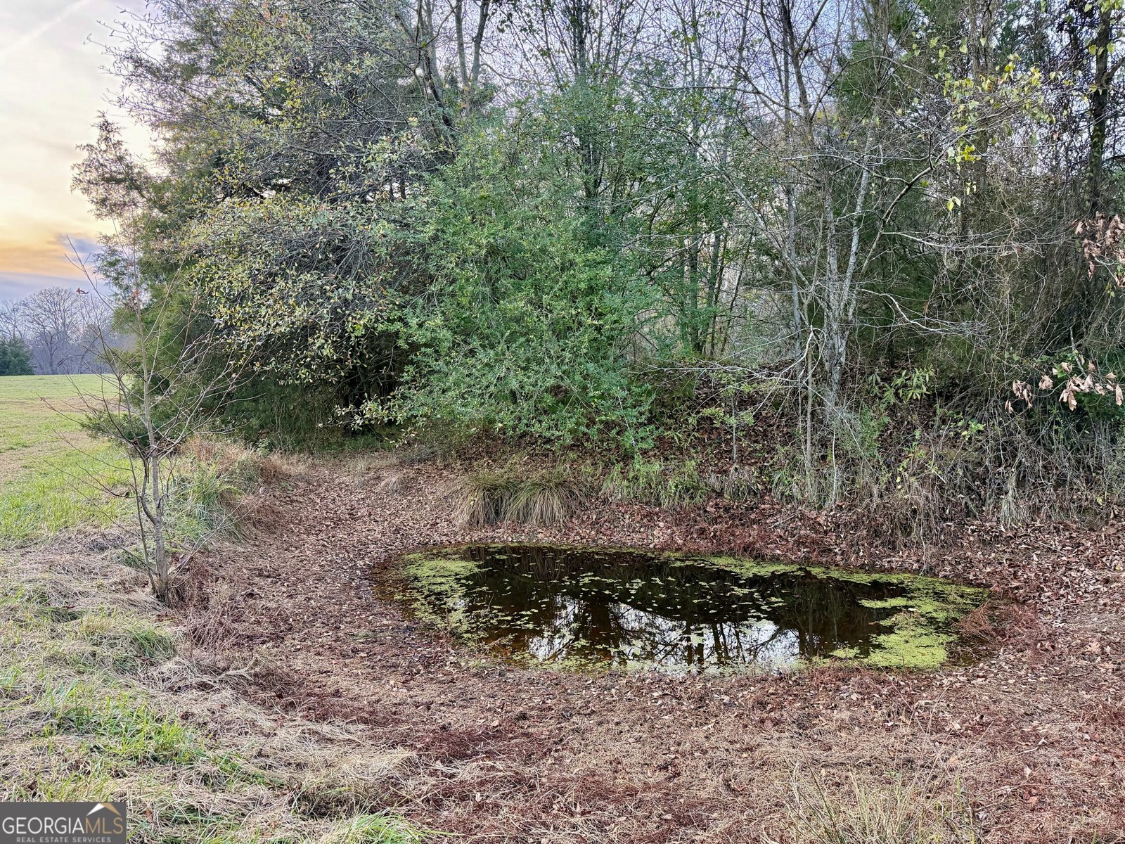 2061 Hartwell Highway Elberton - 39