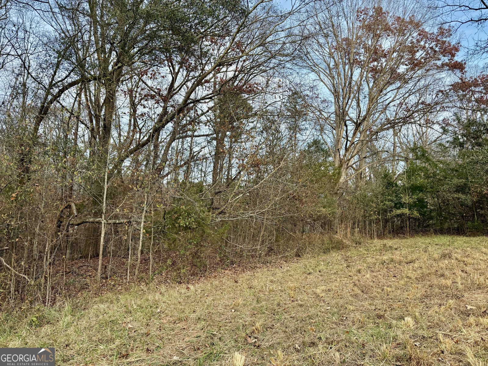 2061 Hartwell Highway Elberton - 40