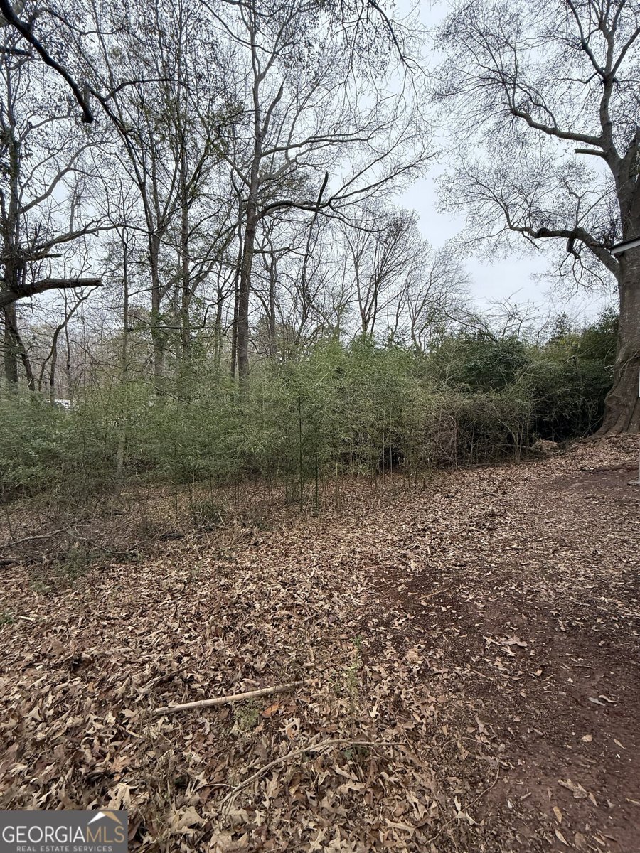 7924 Jefferson Road Athens - 19