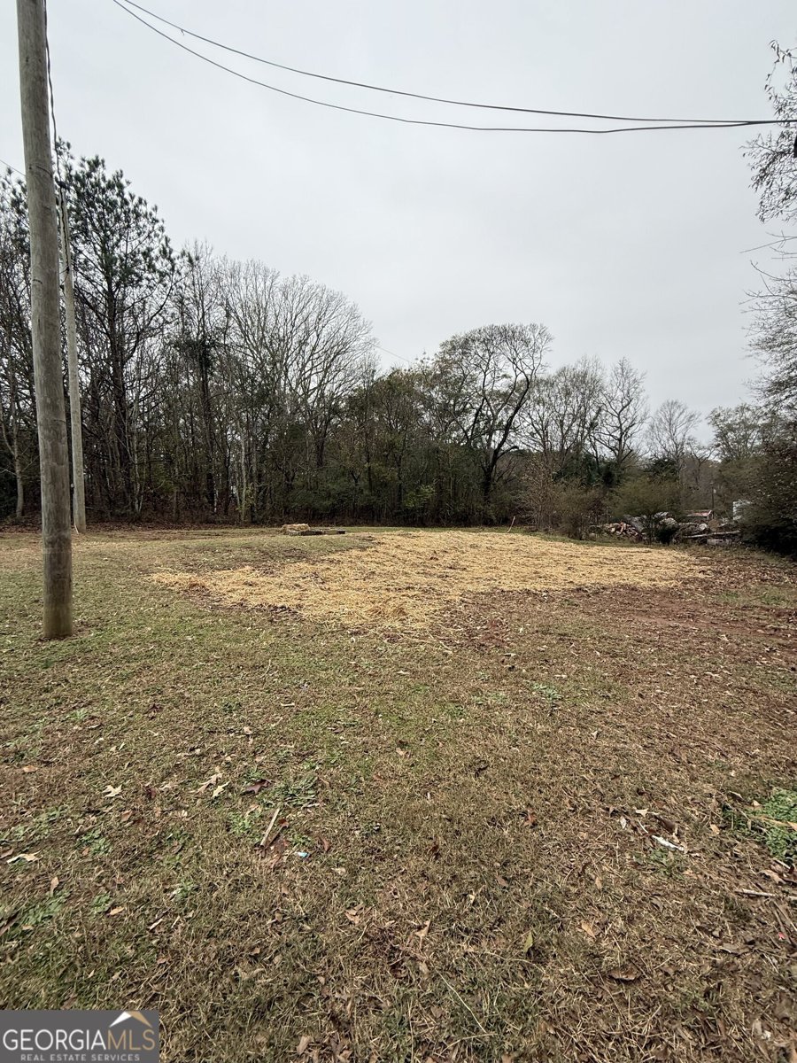 7924 Jefferson Road Athens - 20