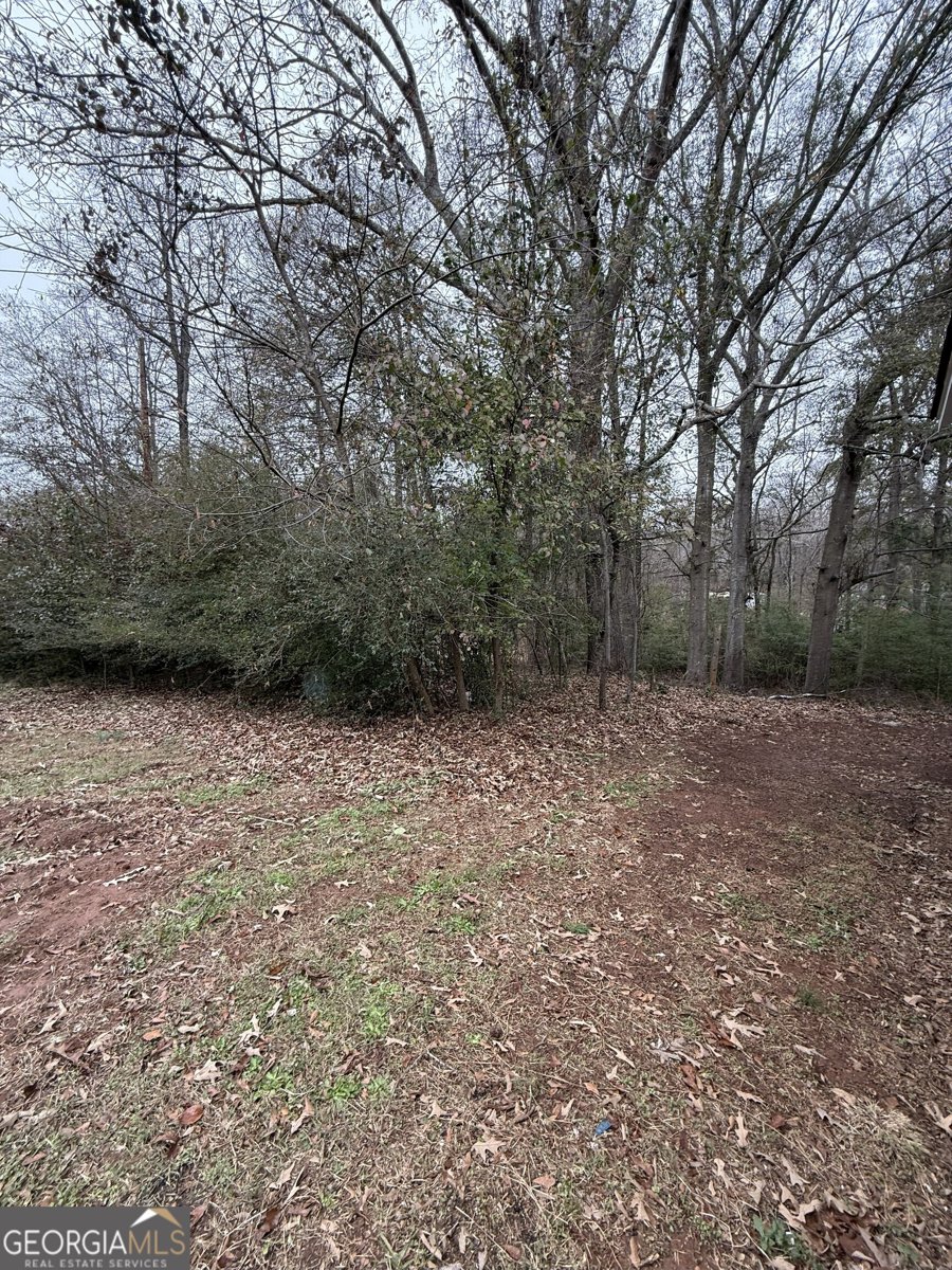 7924 Jefferson Road Athens - 21