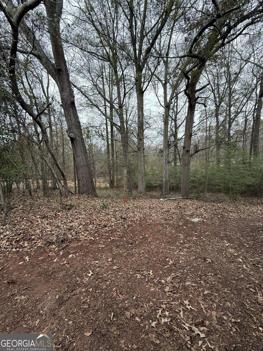 7924 Jefferson Road Athens - 22