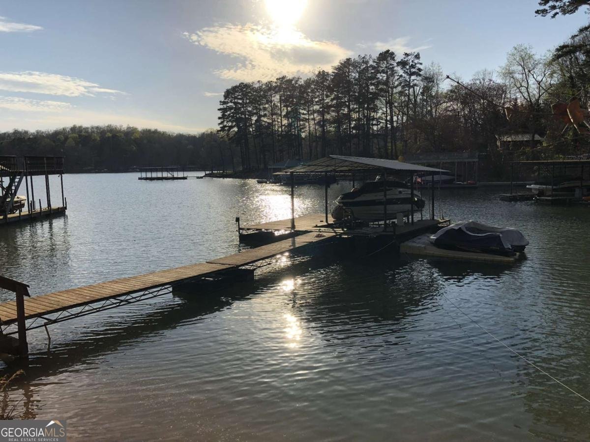 161 Winterhawk Cove Dawsonville - 3