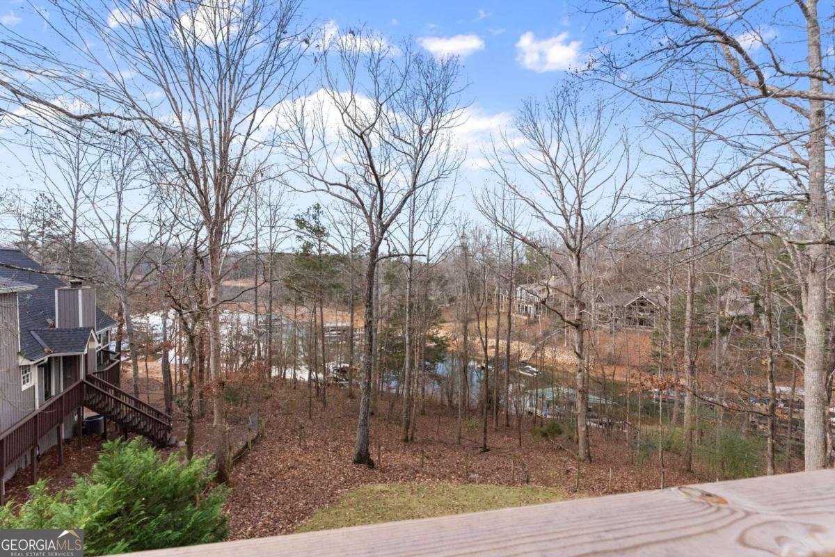 161 Winterhawk Cove Dawsonville - 54