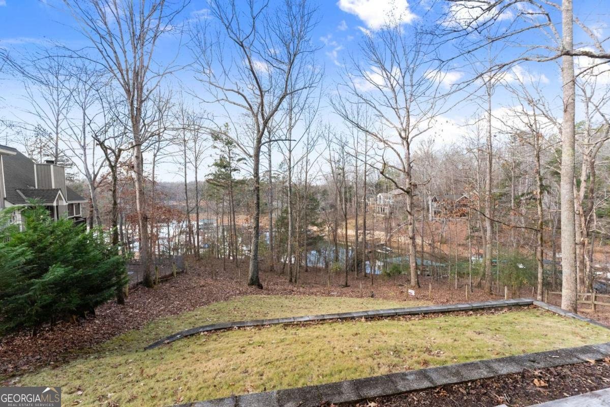 161 Winterhawk Cove Dawsonville - 55