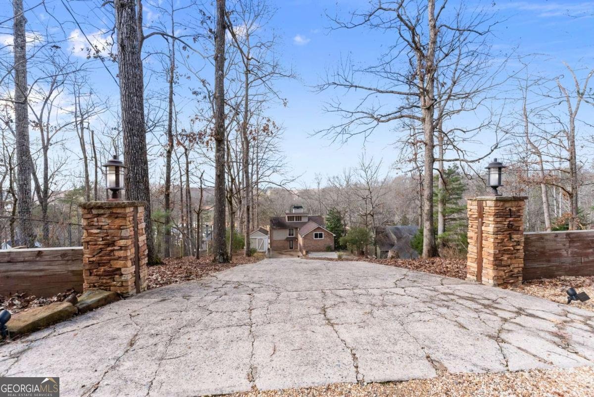 161 Winterhawk Cove Dawsonville - 65