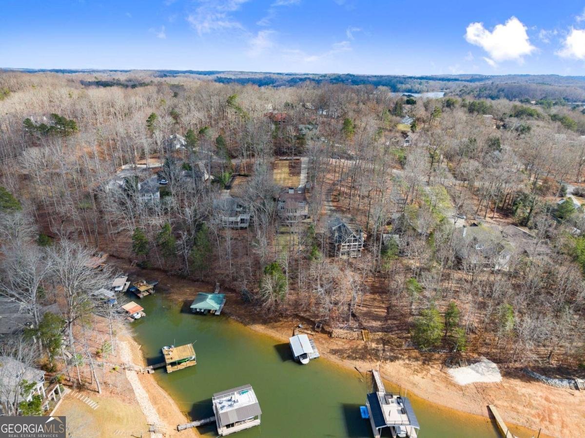 161 Winterhawk Cove Dawsonville - 68