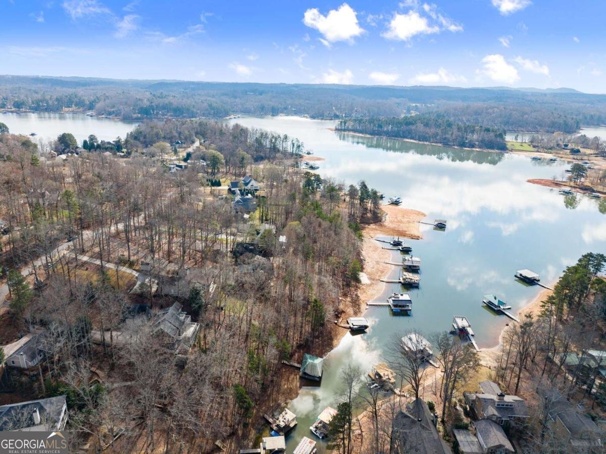 161 Winterhawk Cove Dawsonville - 69