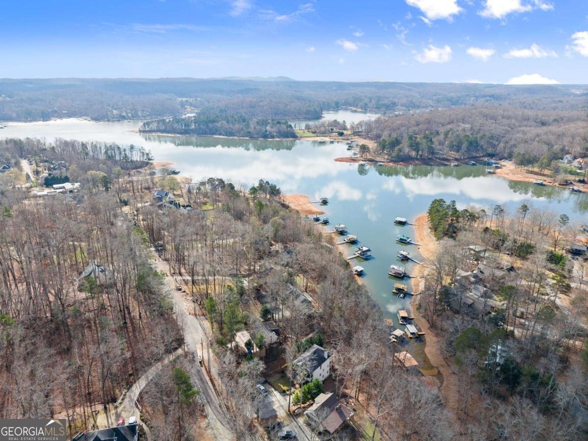 161 Winterhawk Cove Dawsonville - 72