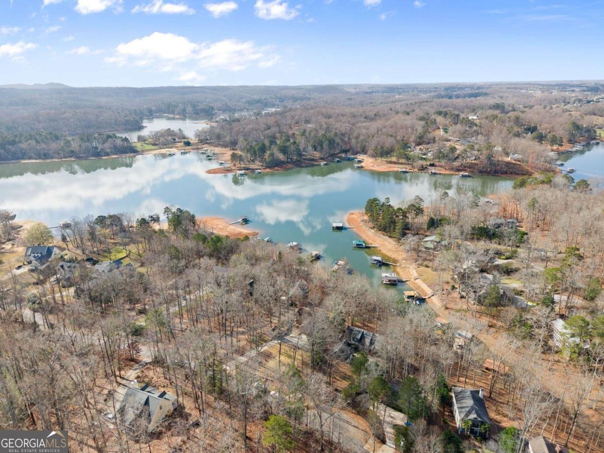 161 Winterhawk Cove Dawsonville - 73