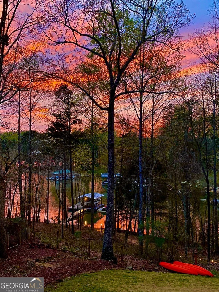 161 Winterhawk Cove Dawsonville - 77