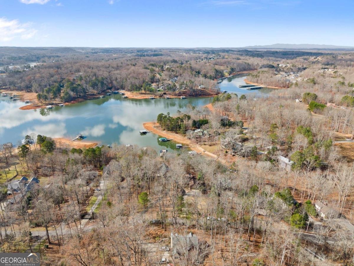 161 Winterhawk Cove Dawsonville - 83