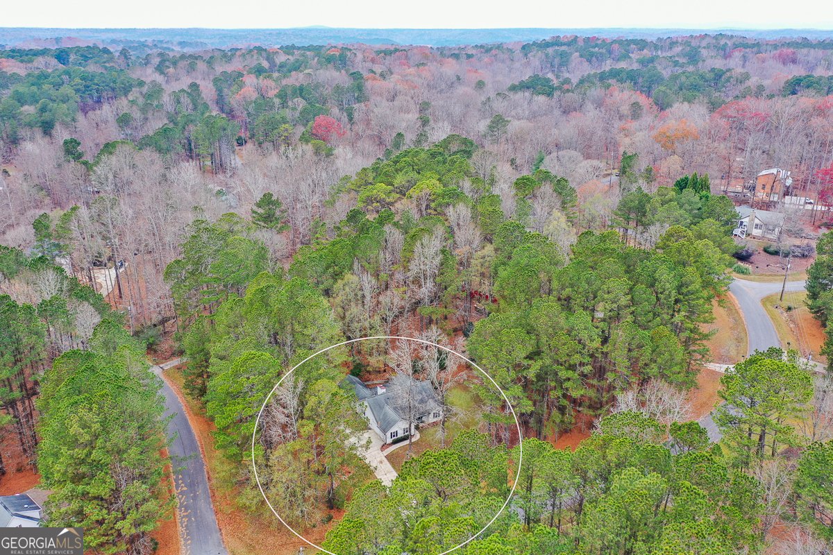 1413 Reed Lane Woodstock - 30