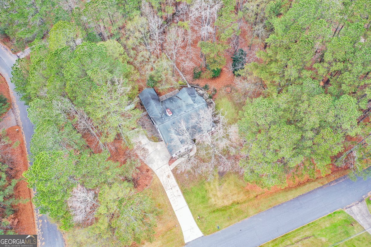 1413 Reed Lane Woodstock - 60