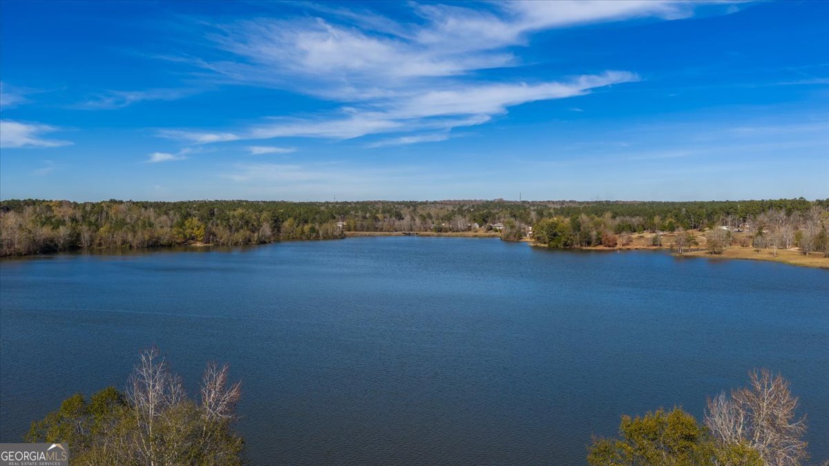 119 Springs Court Lizella - 54