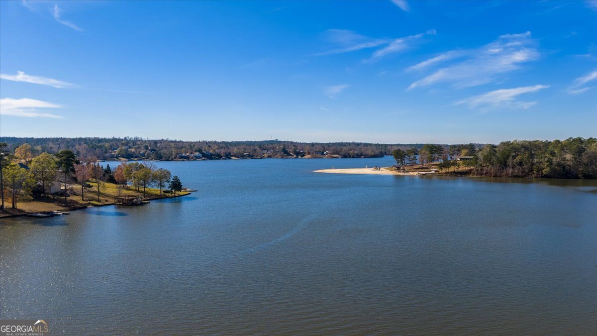 119 Springs Court Lizella - 55