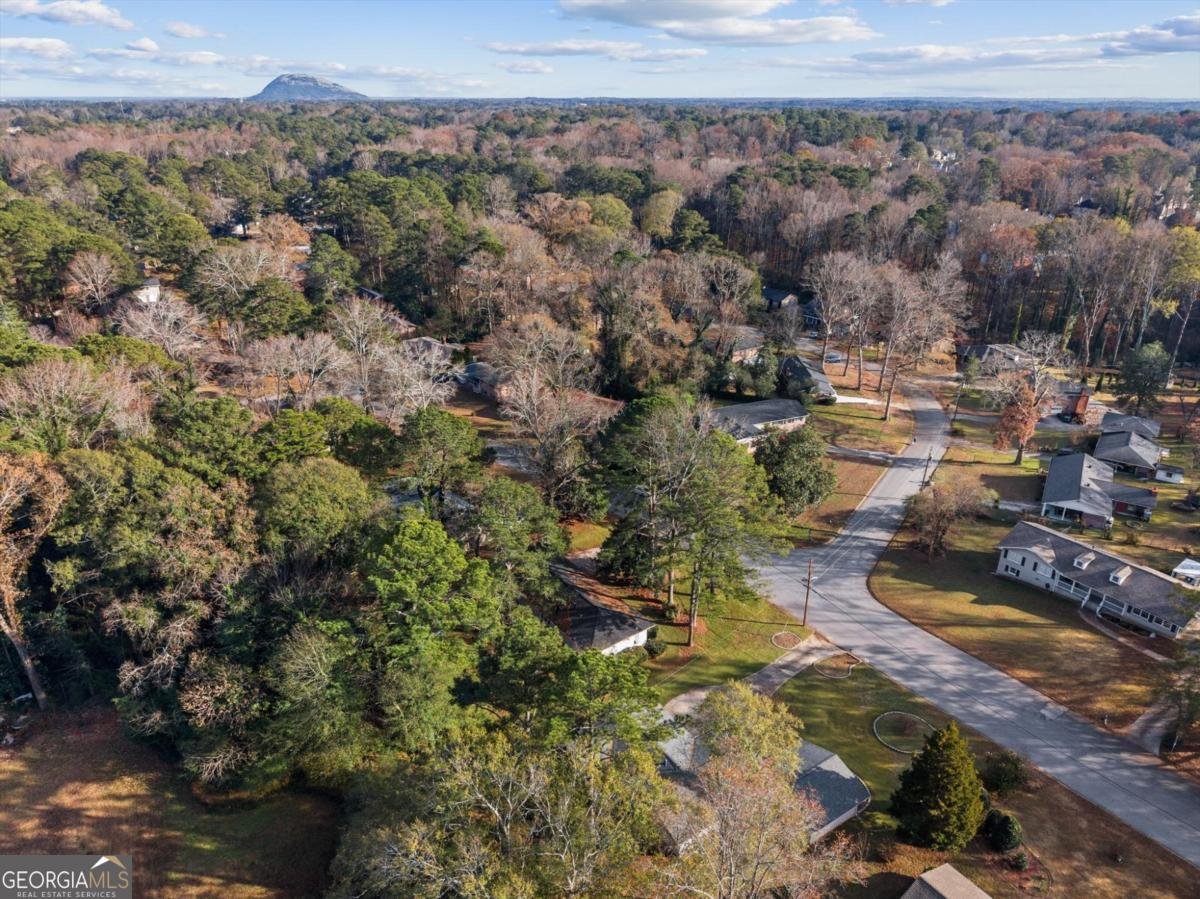 4074 Idlevale Drive Tucker - 59