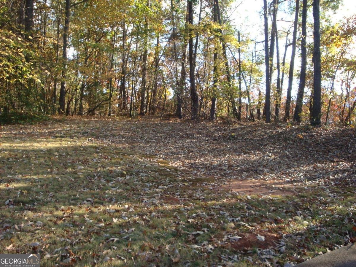 568 Russell Road Lawrenceville - 13