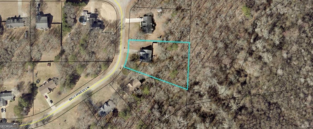 2028 Big Cypress Lane Locust Grove - Photo 27