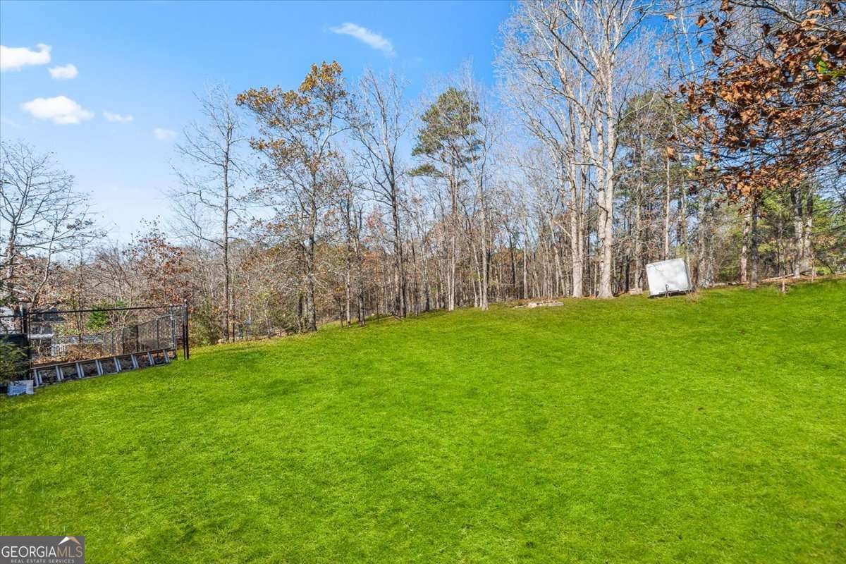 320 Mckenzie Drive Stockbridge - 35