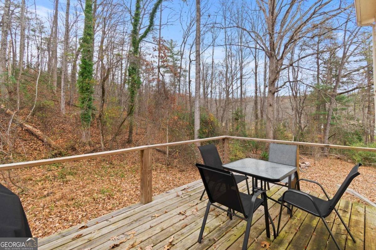 1120 Horton Road Dahlonega - 36