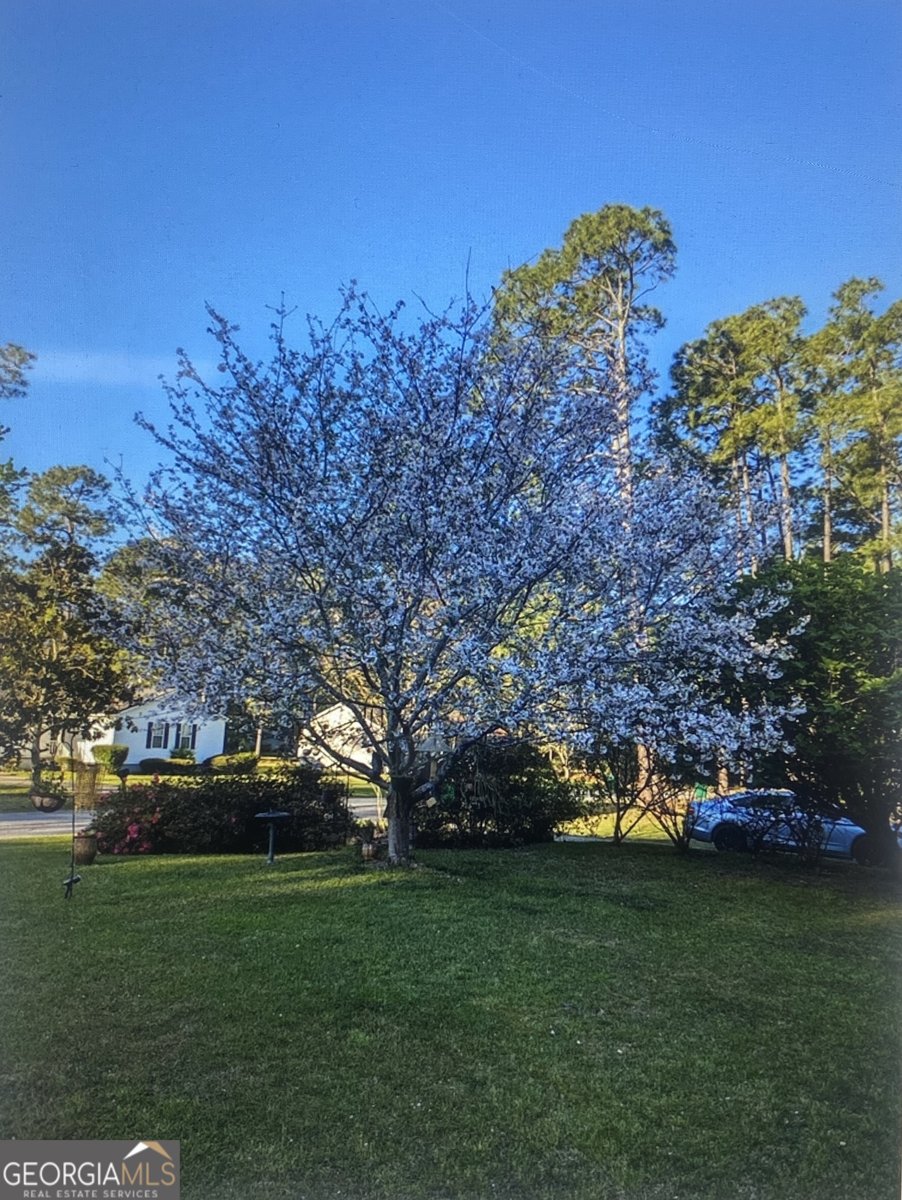 615 28th Avenue Cordele - 49