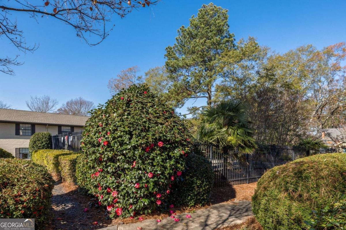 410 Candler Park Drive Atlanta - 25