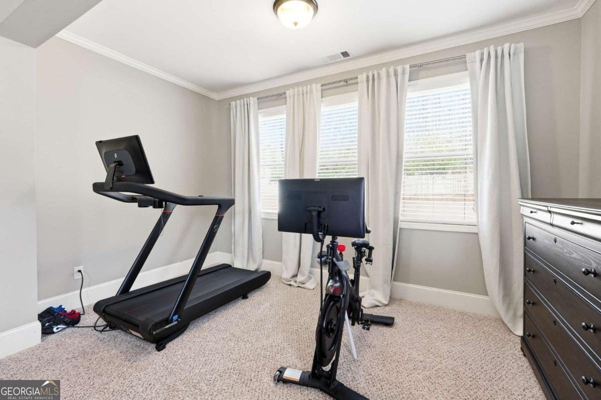 3535 PLEASANT SPRINGS Drive Cumming - 19