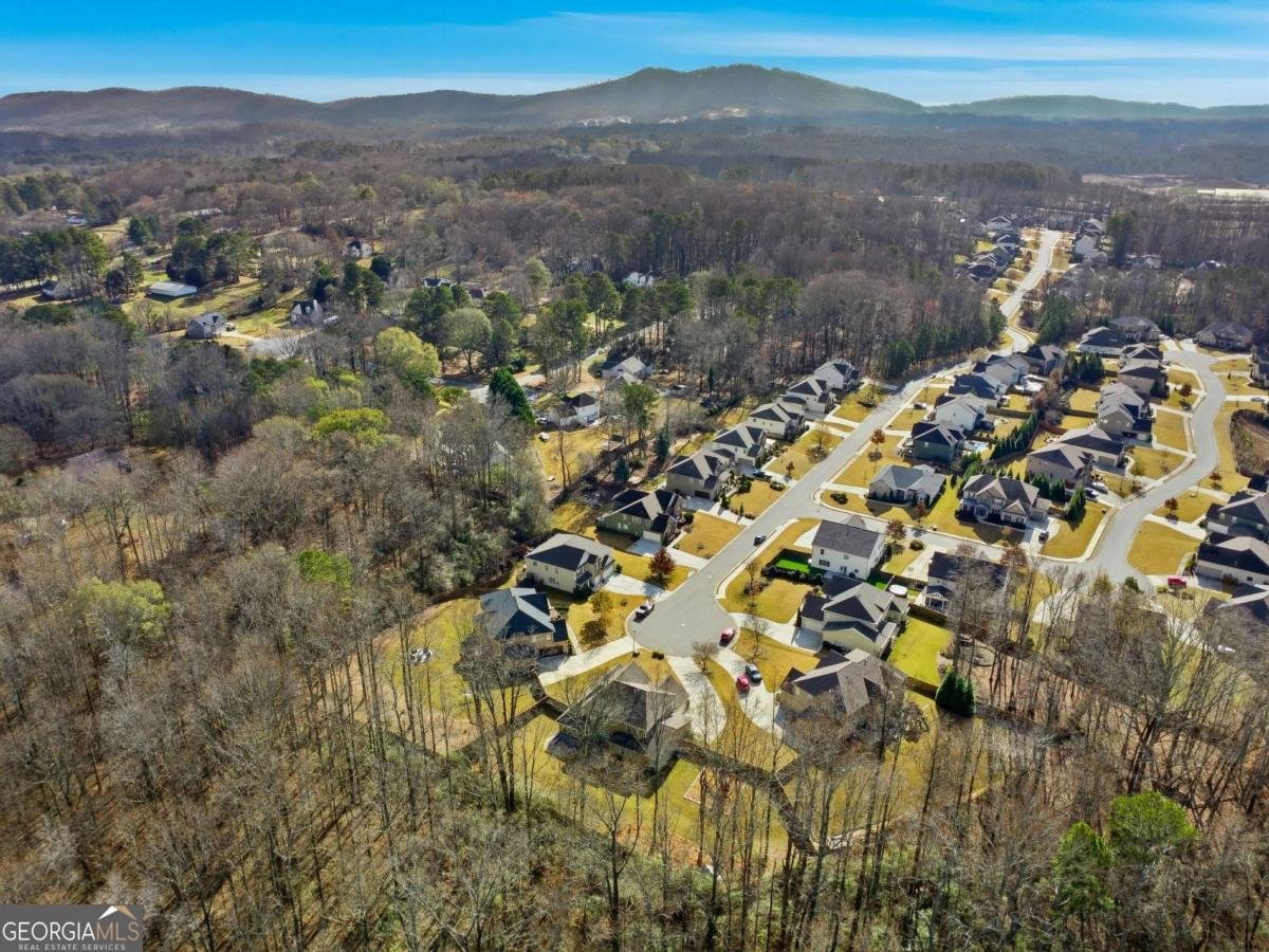 3535 PLEASANT SPRINGS Drive Cumming - 46