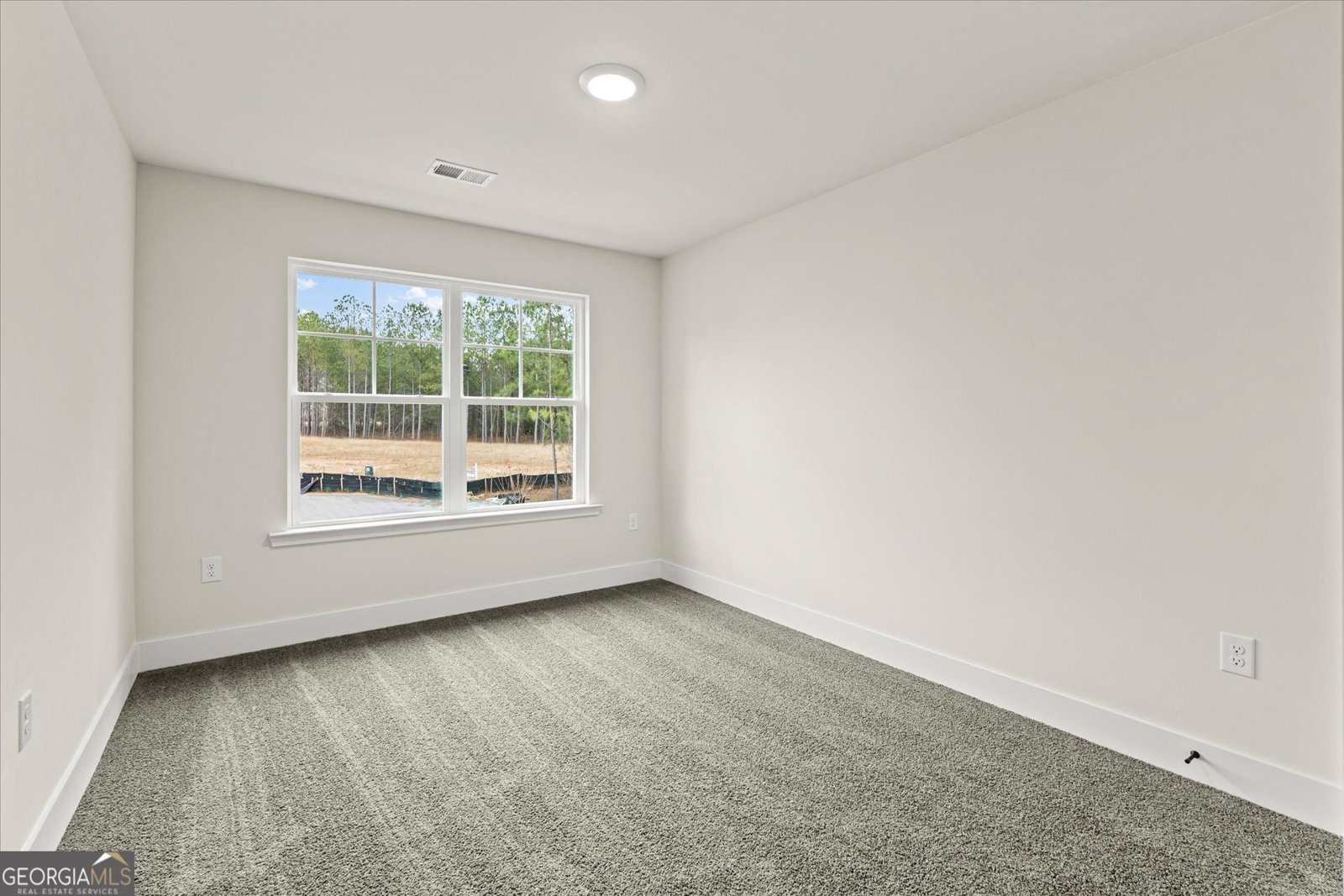 218 Laney Drive Carrollton - Photo 29