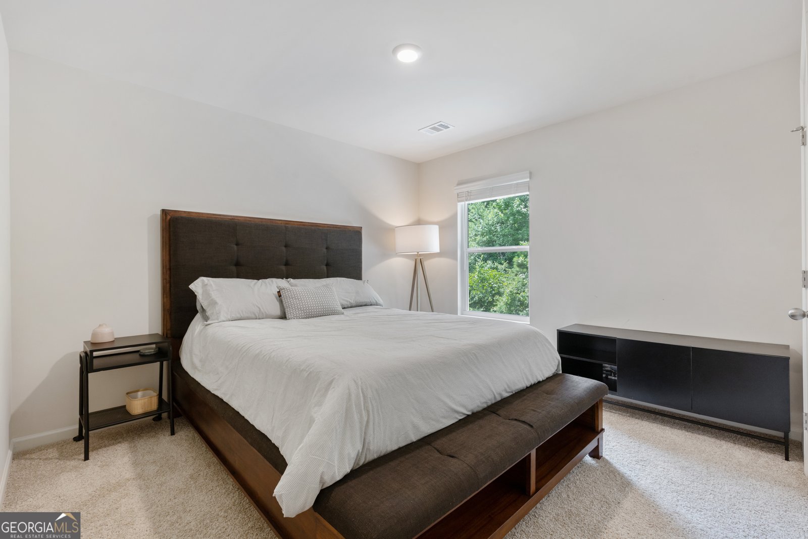 295 Springer Parkway Dallas - 24