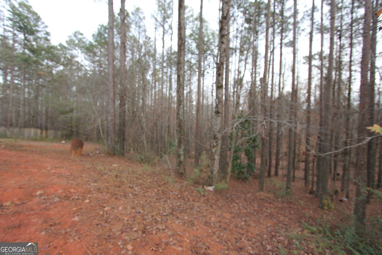 409 Reids Mill Way Carrollton - 4