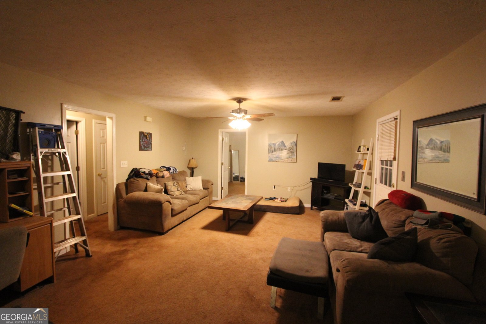 409 Reids Mill Way Carrollton - 7