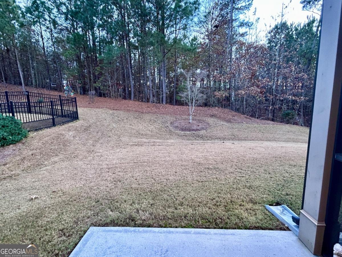 311 Honey Locust Court Peachtree City - 29