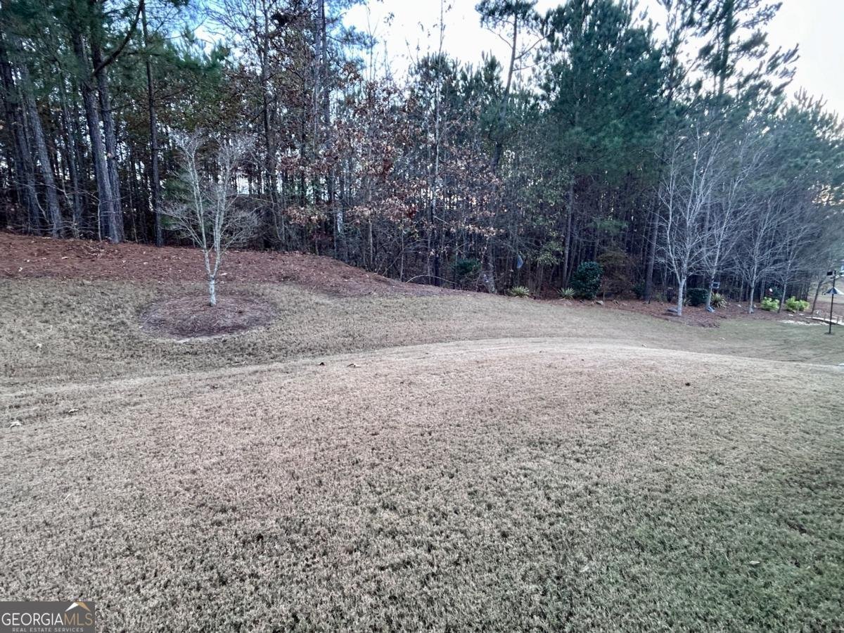 311 Honey Locust Court Peachtree City - 30