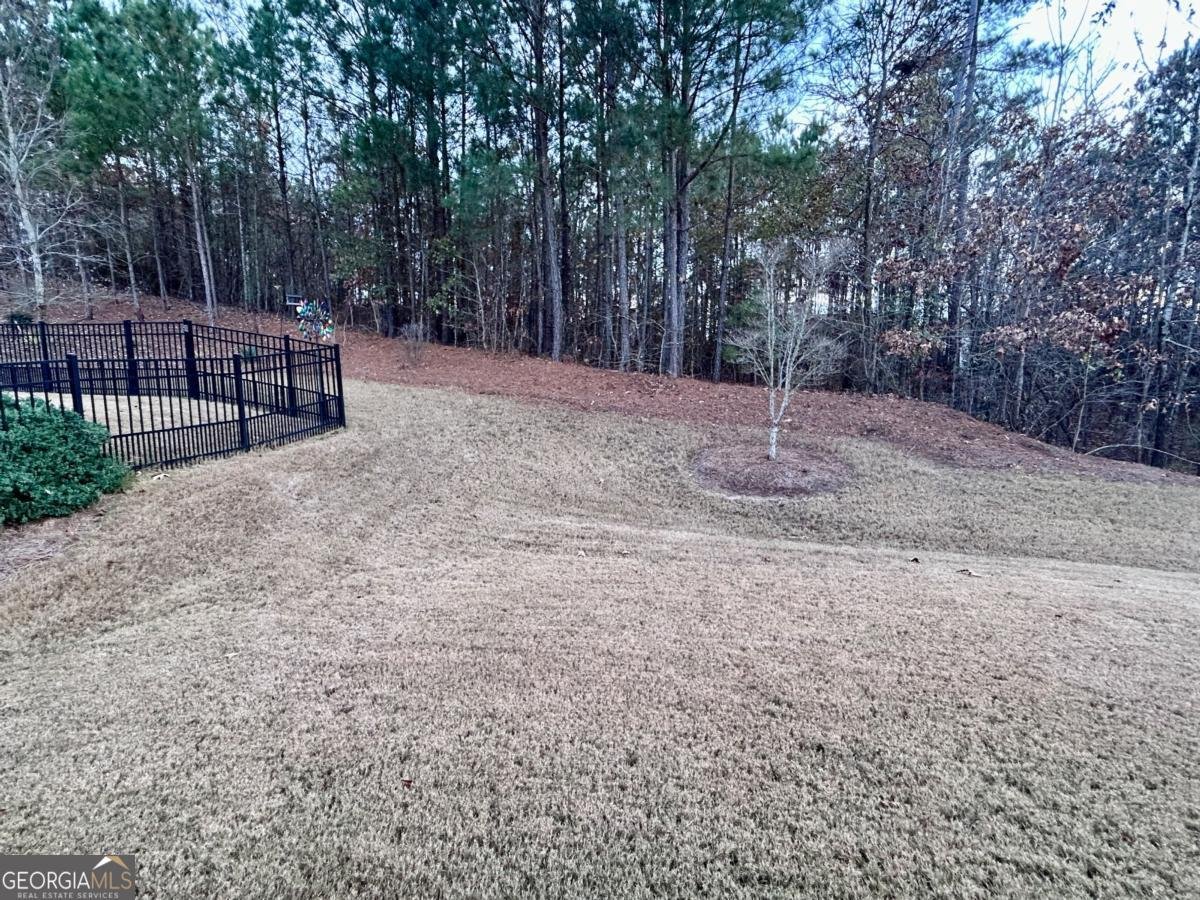 311 Honey Locust Court Peachtree City - 31