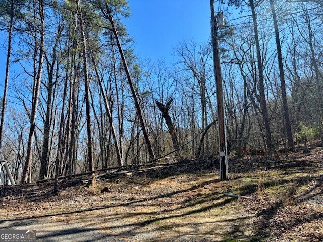 125 Gum Wood Court Waleska - 2