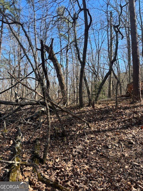 125 Gum Wood Court Waleska - 3