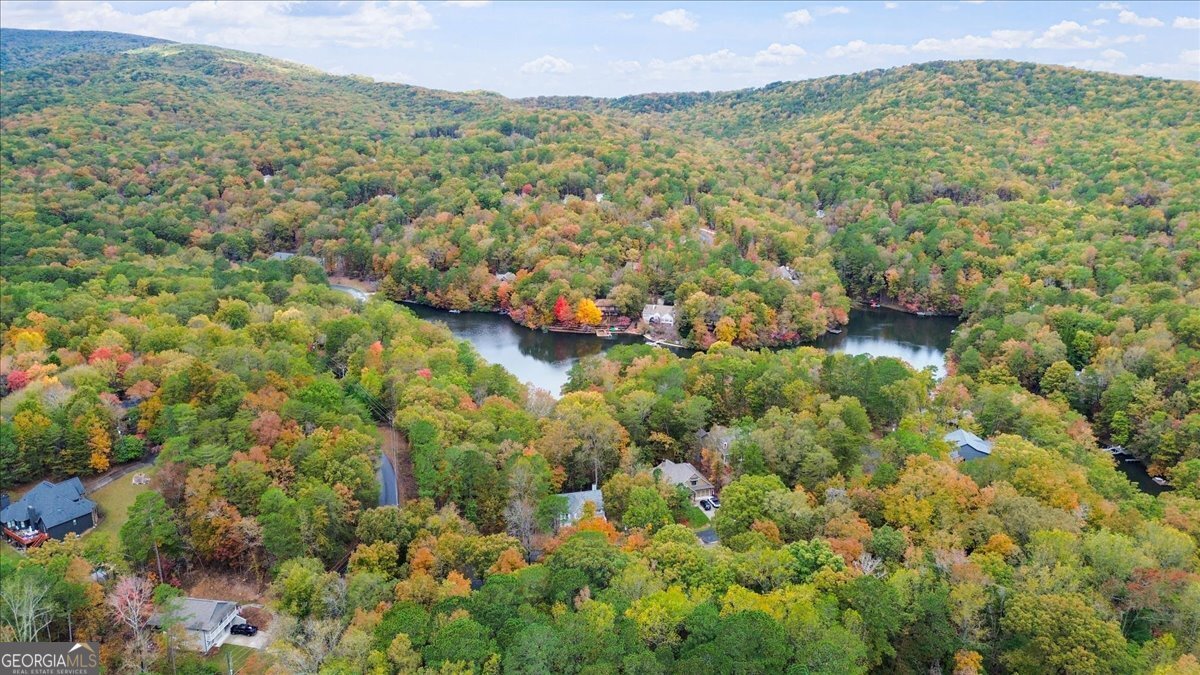 125 Gum Wood Court Waleska - 9