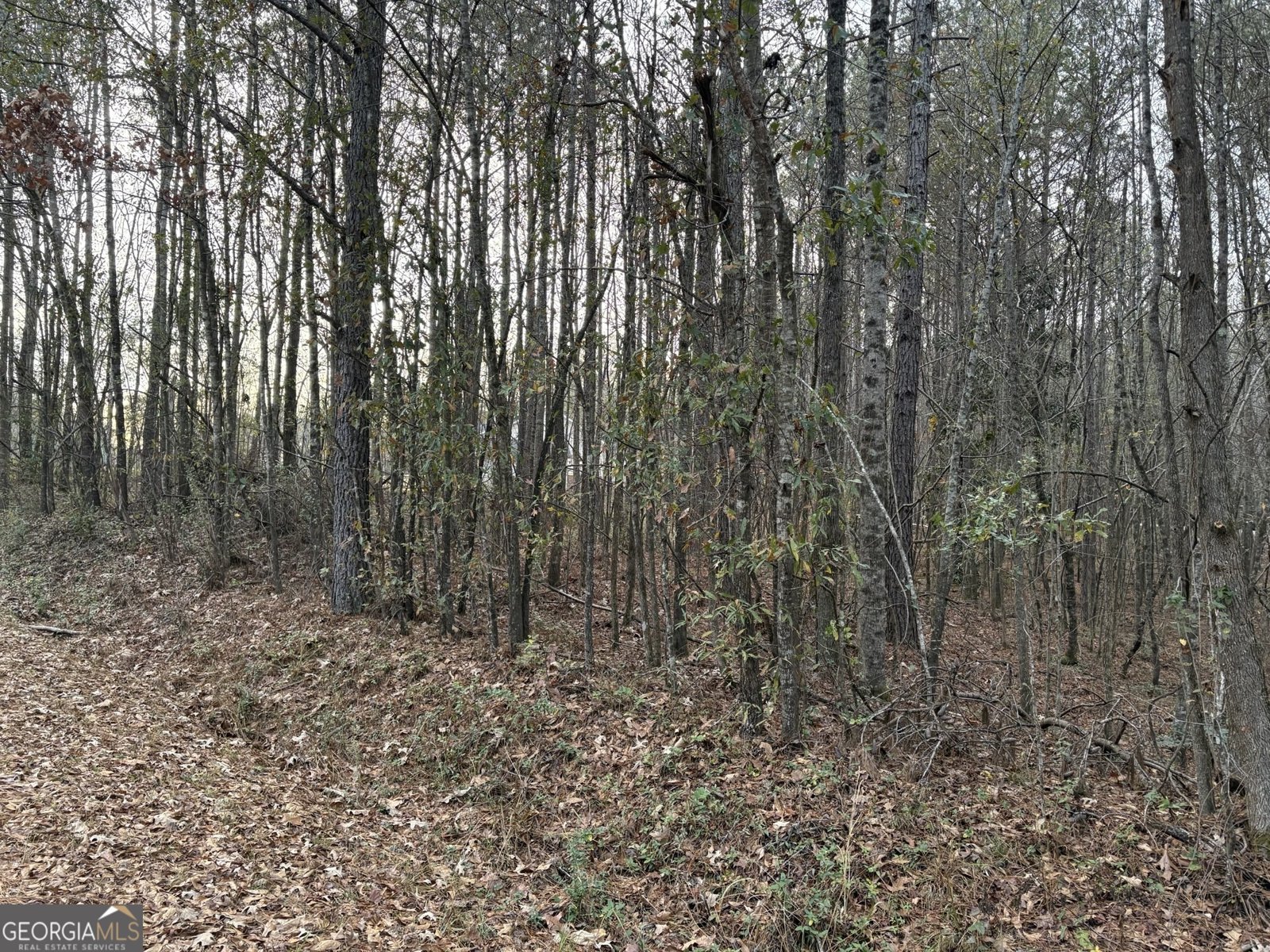 245 Buck Smith Road Hogansville - 46