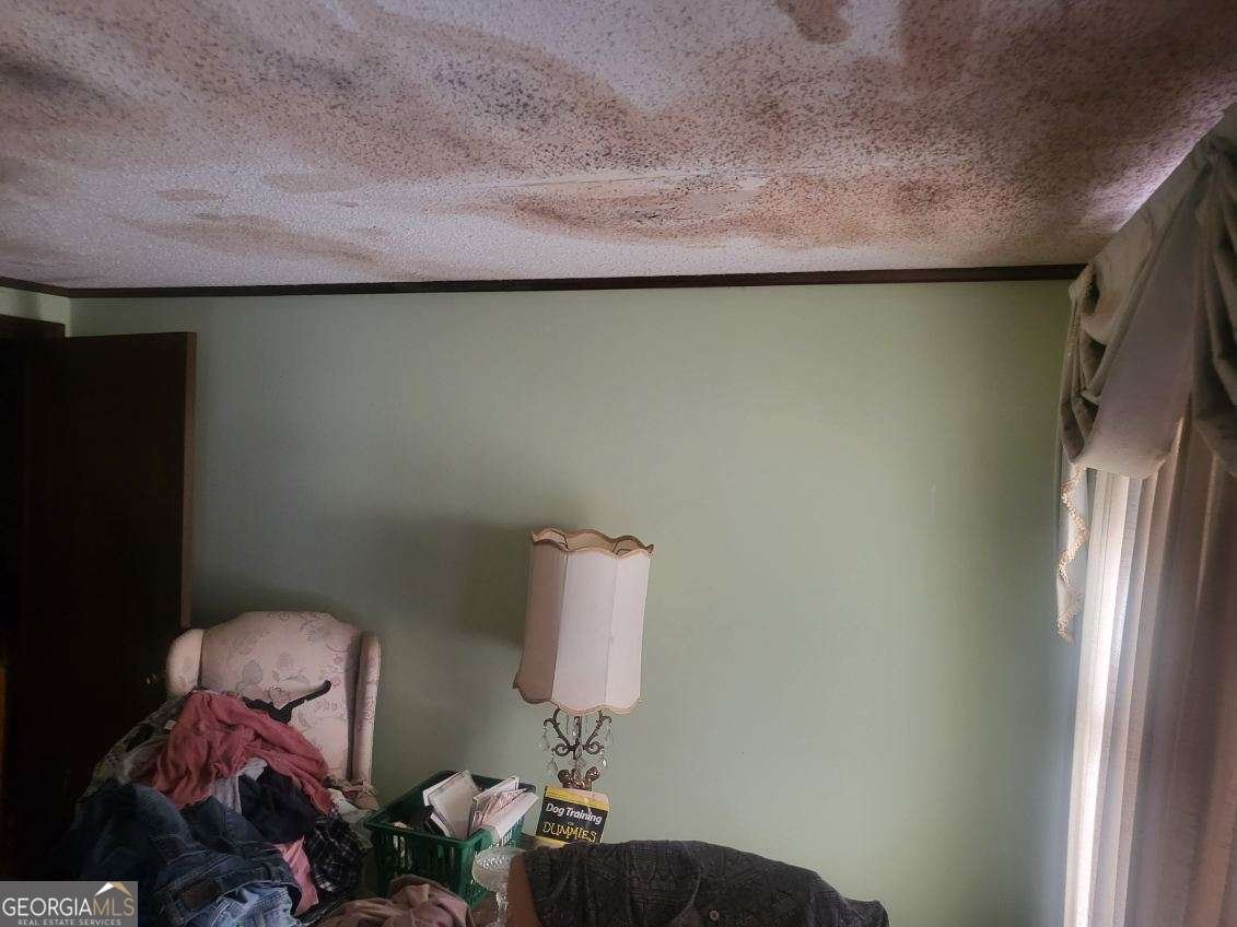 546 Alton Lawson Road Adrian - 17