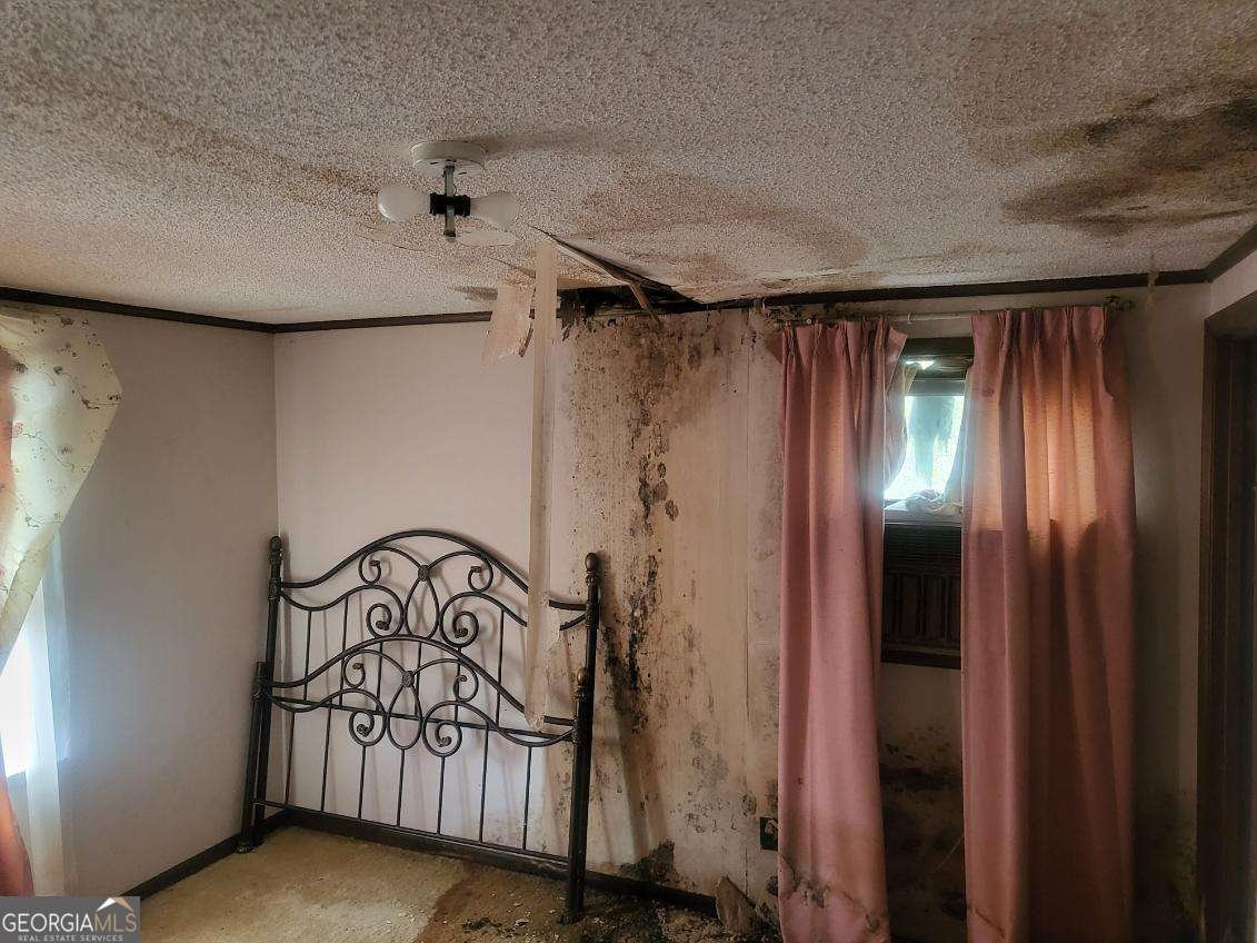 546 Alton Lawson Road Adrian - 19