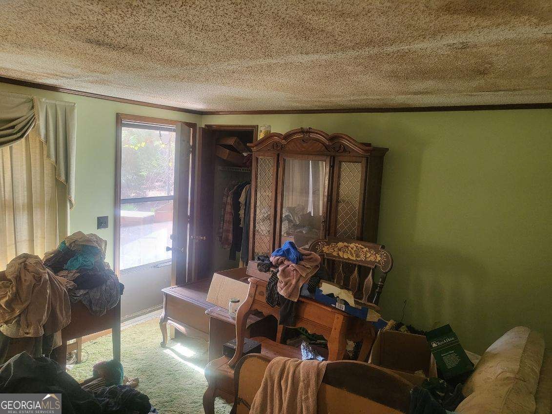 546 Alton Lawson Road Adrian - 20