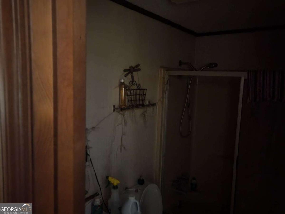 546 Alton Lawson Road Adrian - 35