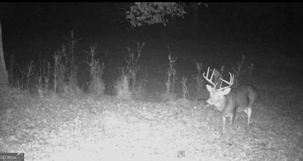 455 Riverbend Road Plainville - 57