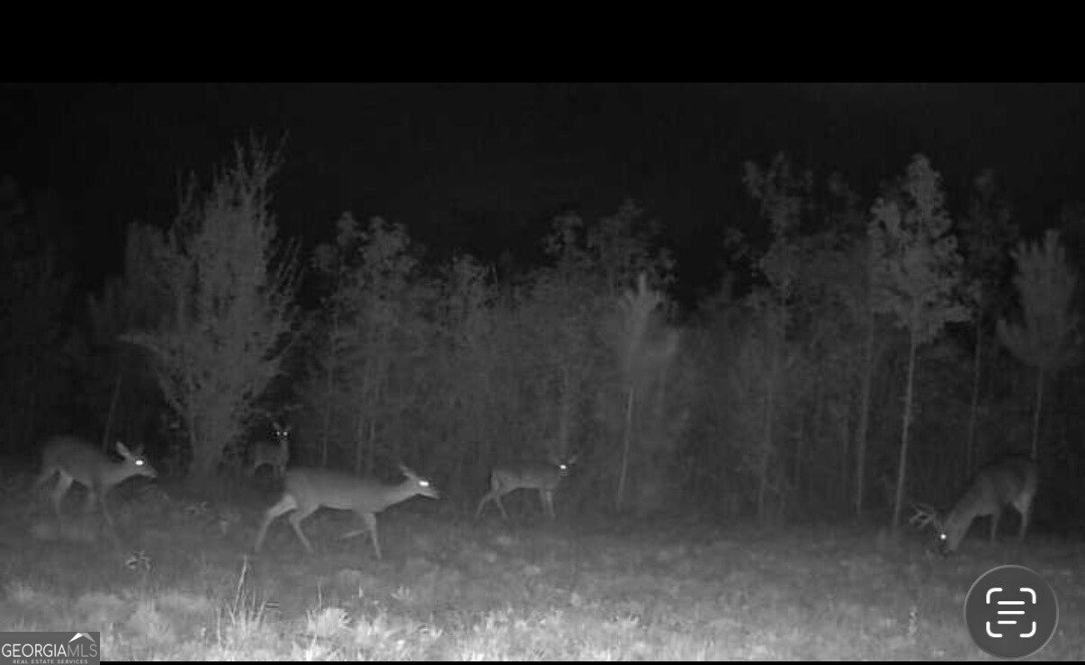 455 Riverbend Road Plainville - 59